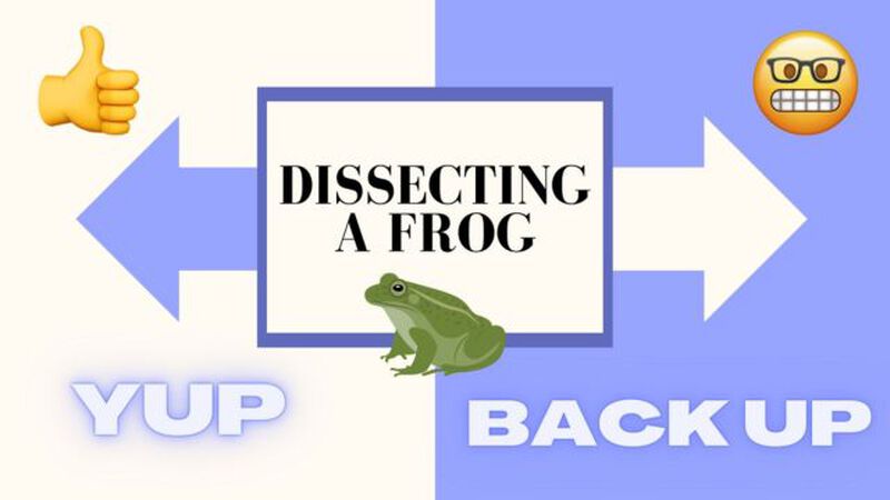 Yup Backup: Back to School Edition